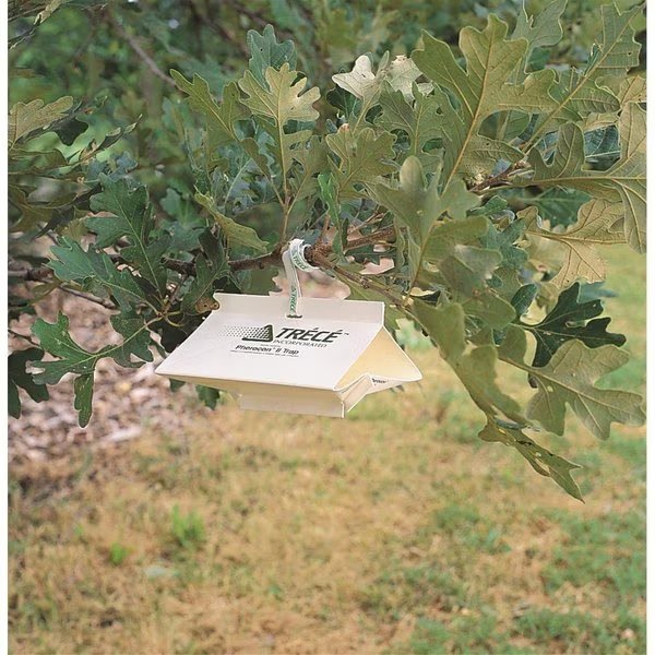 Trece Pherocon II Trap, Trece, Mfr#: 3311-00